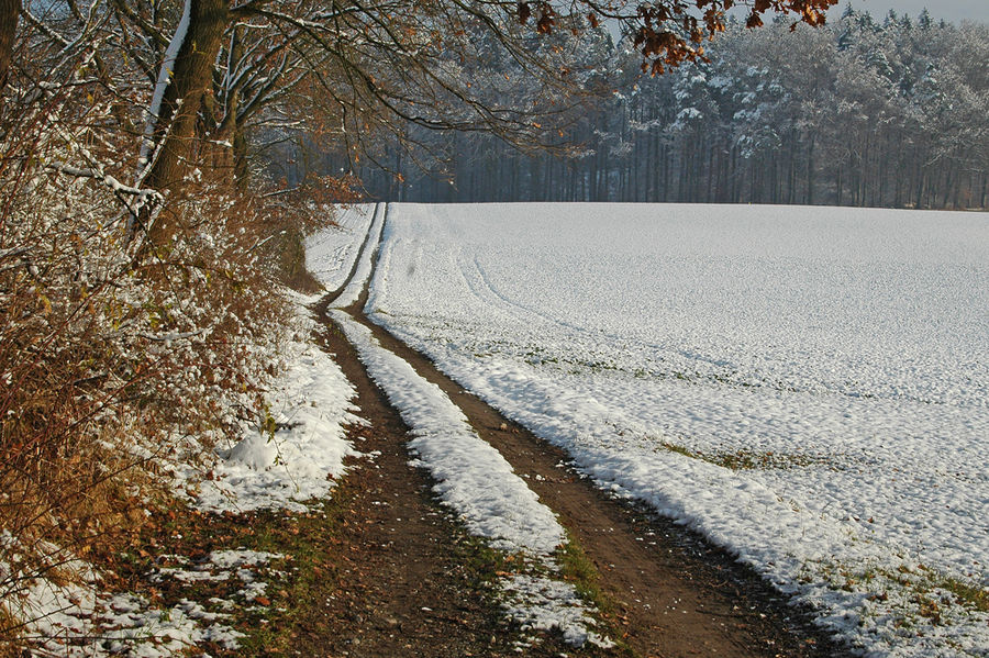 Winterweg