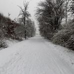 Winterweg