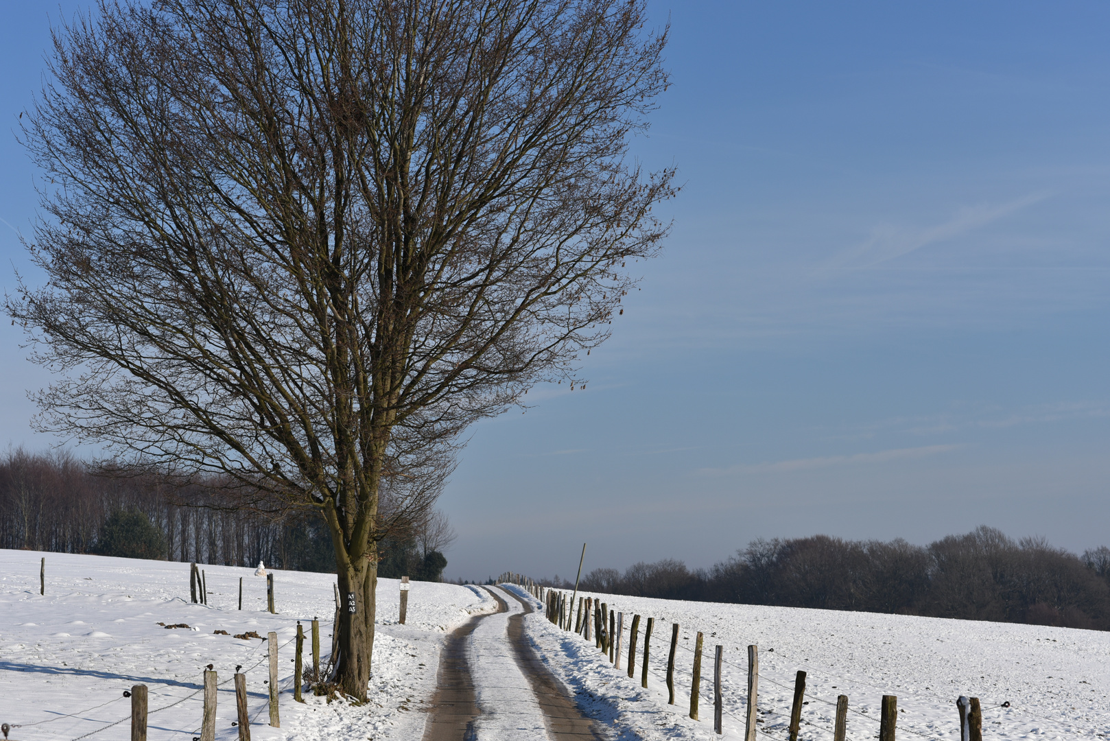 Winterweg durch Wald und Flur