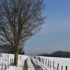 Winterweg durch Wald und Flur