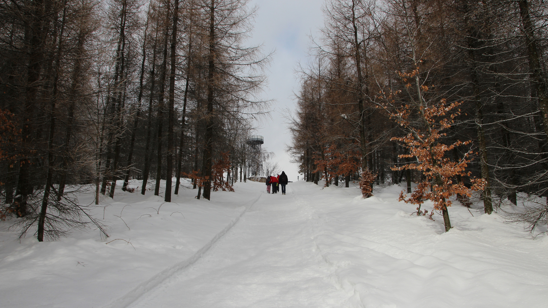 Winterweg