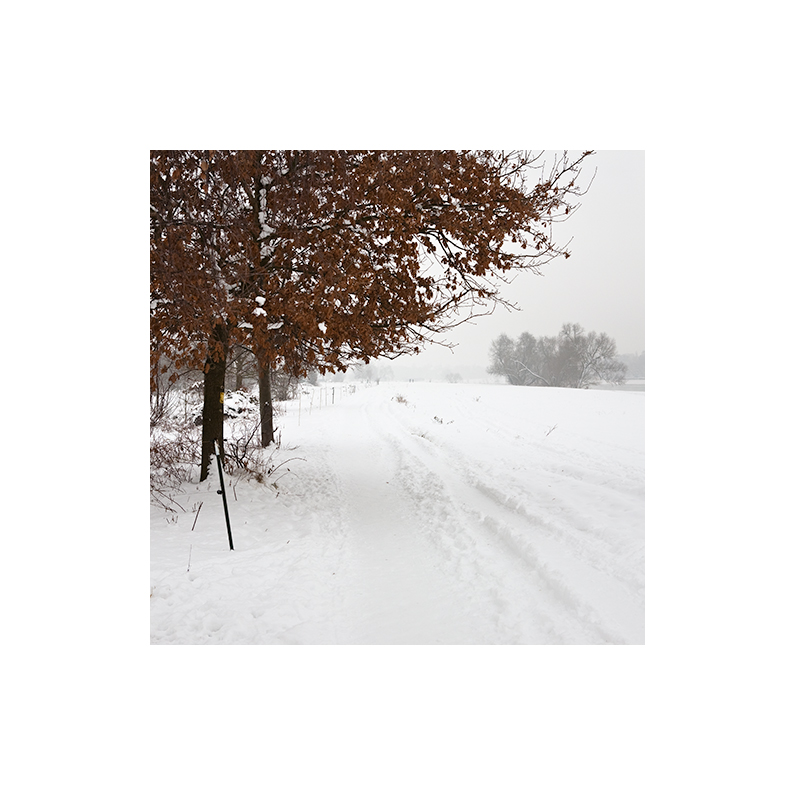 [ Winterweg ]