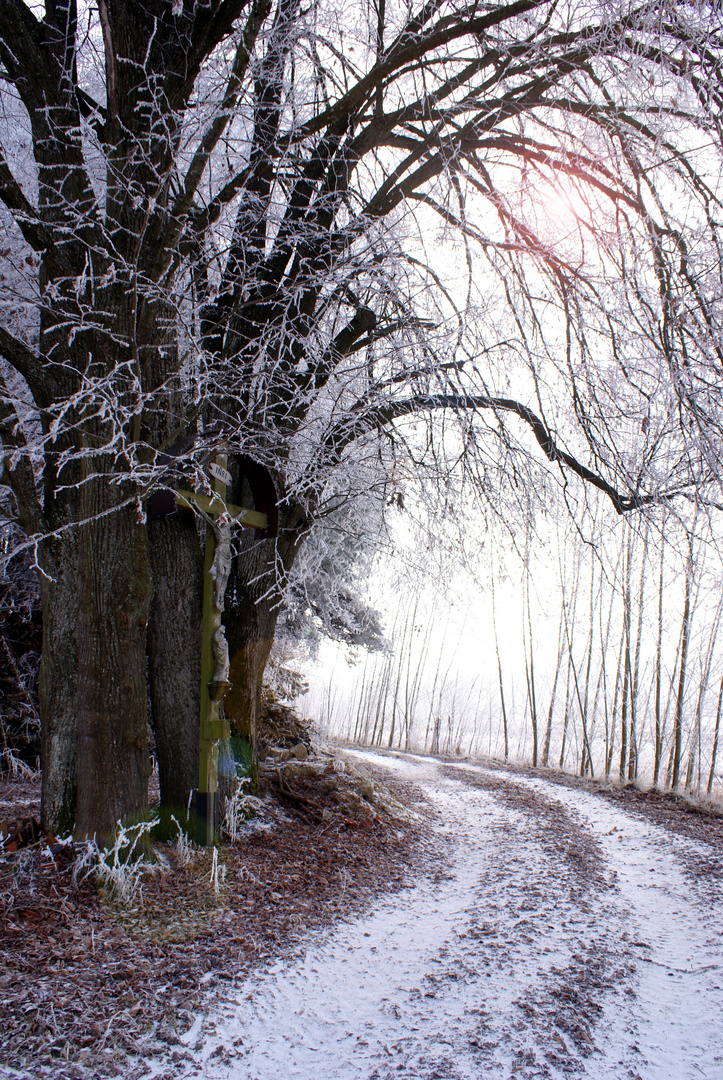 Winterweg