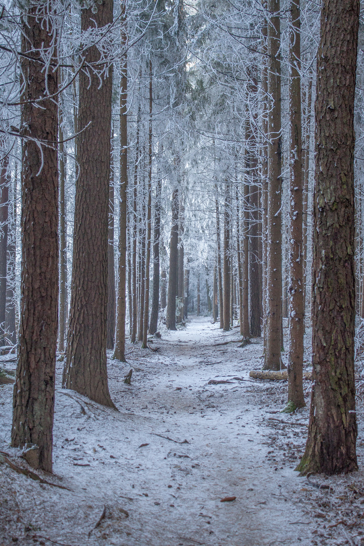 Winterweg