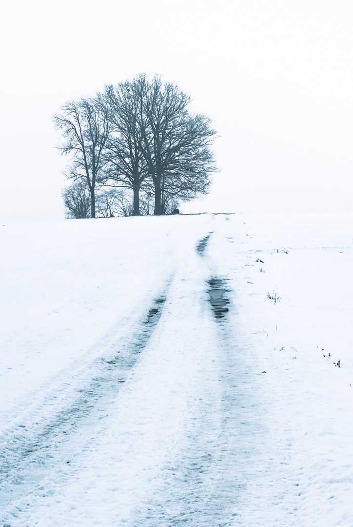 Winterweg