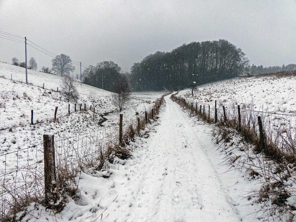 Winterweg