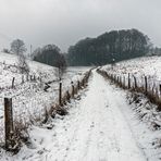 Winterweg