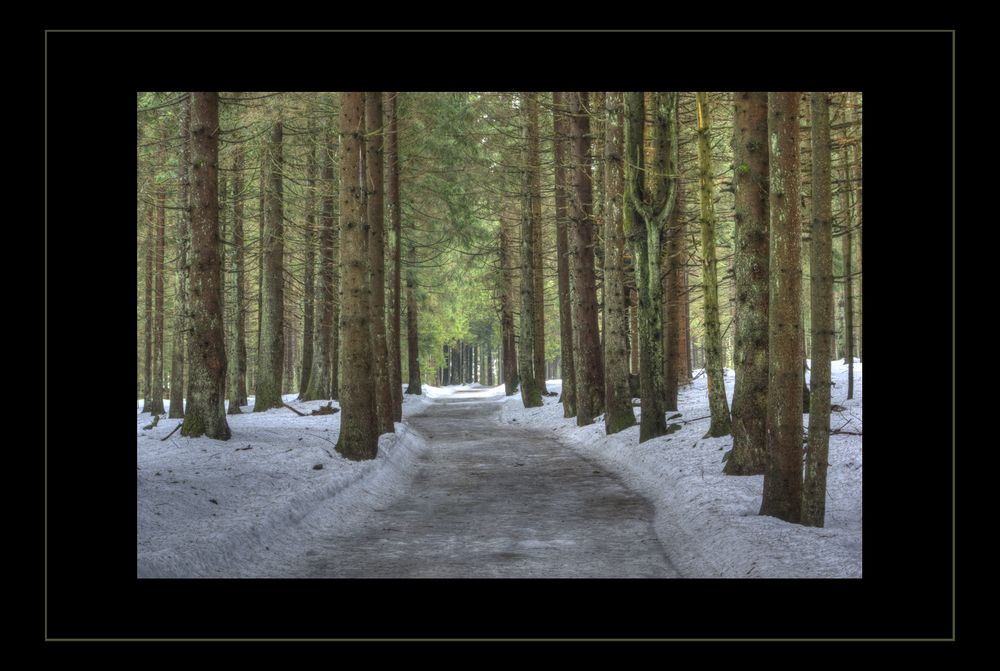 Winterweg im bayrischen Wald von Markus A. R. Langlotz 