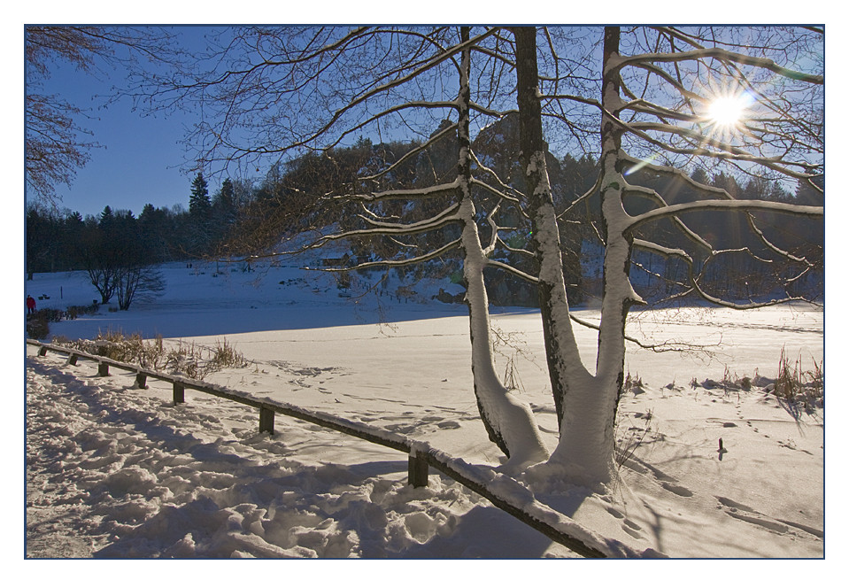 Winterweg im Gegenlicht