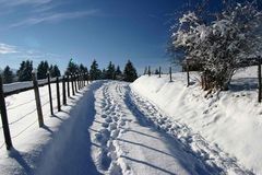 Winterweg in Aleuthen