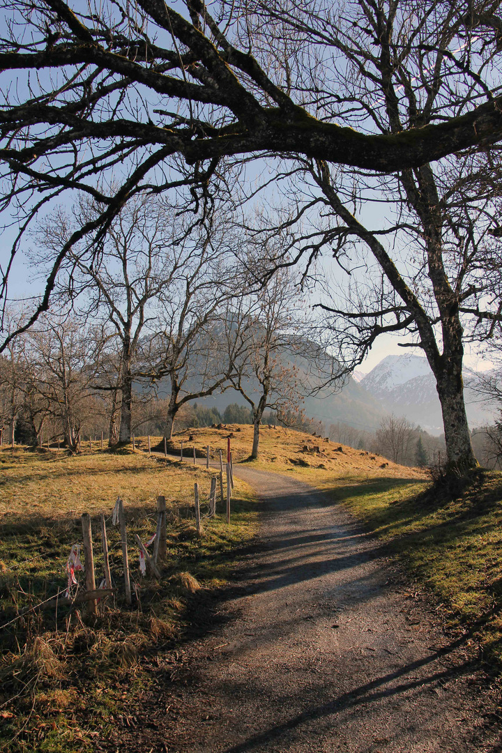 Winterweg ohne Schnee