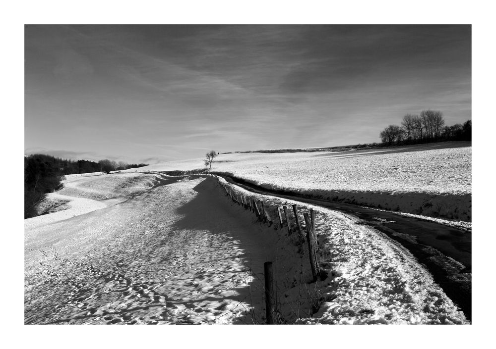 Winterweg (s/w)