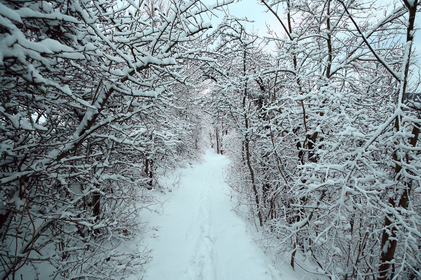 Winterweg1