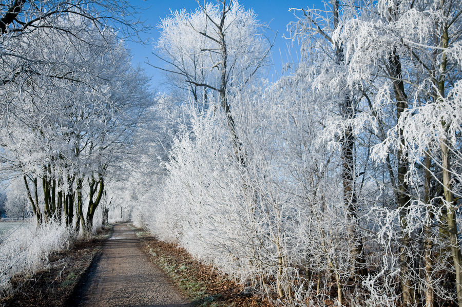 Winterwege-1