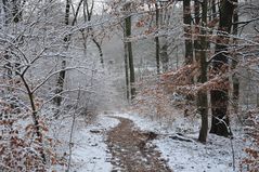 Winterwege