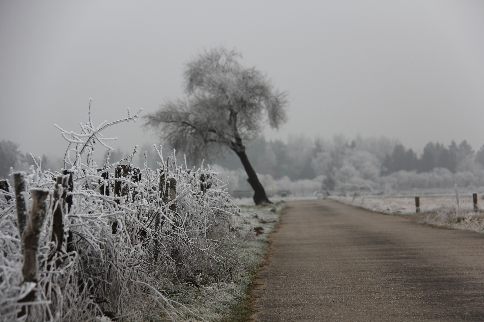 Winterwege