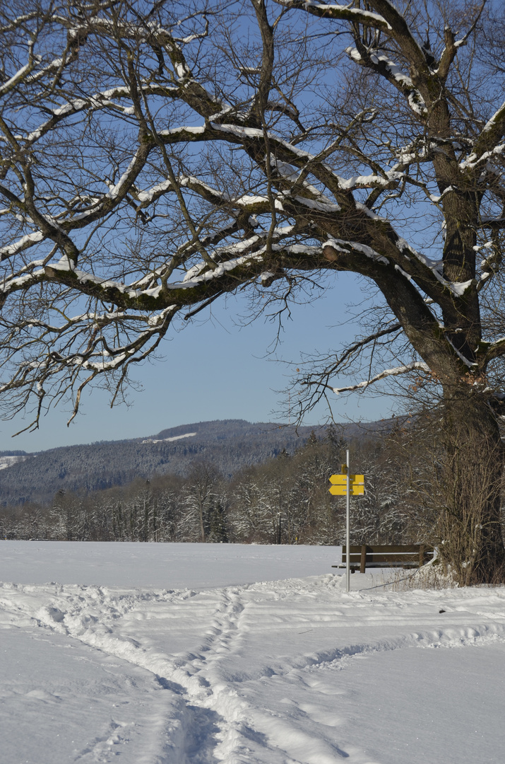 Winterwege