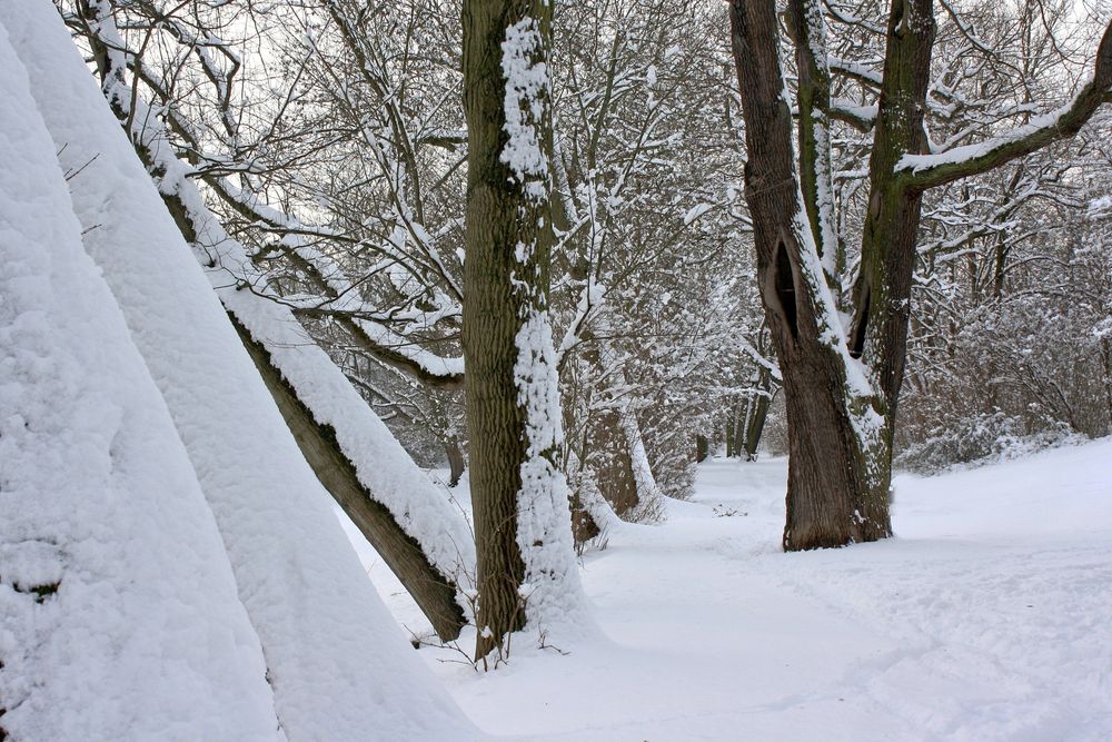 Winterwege