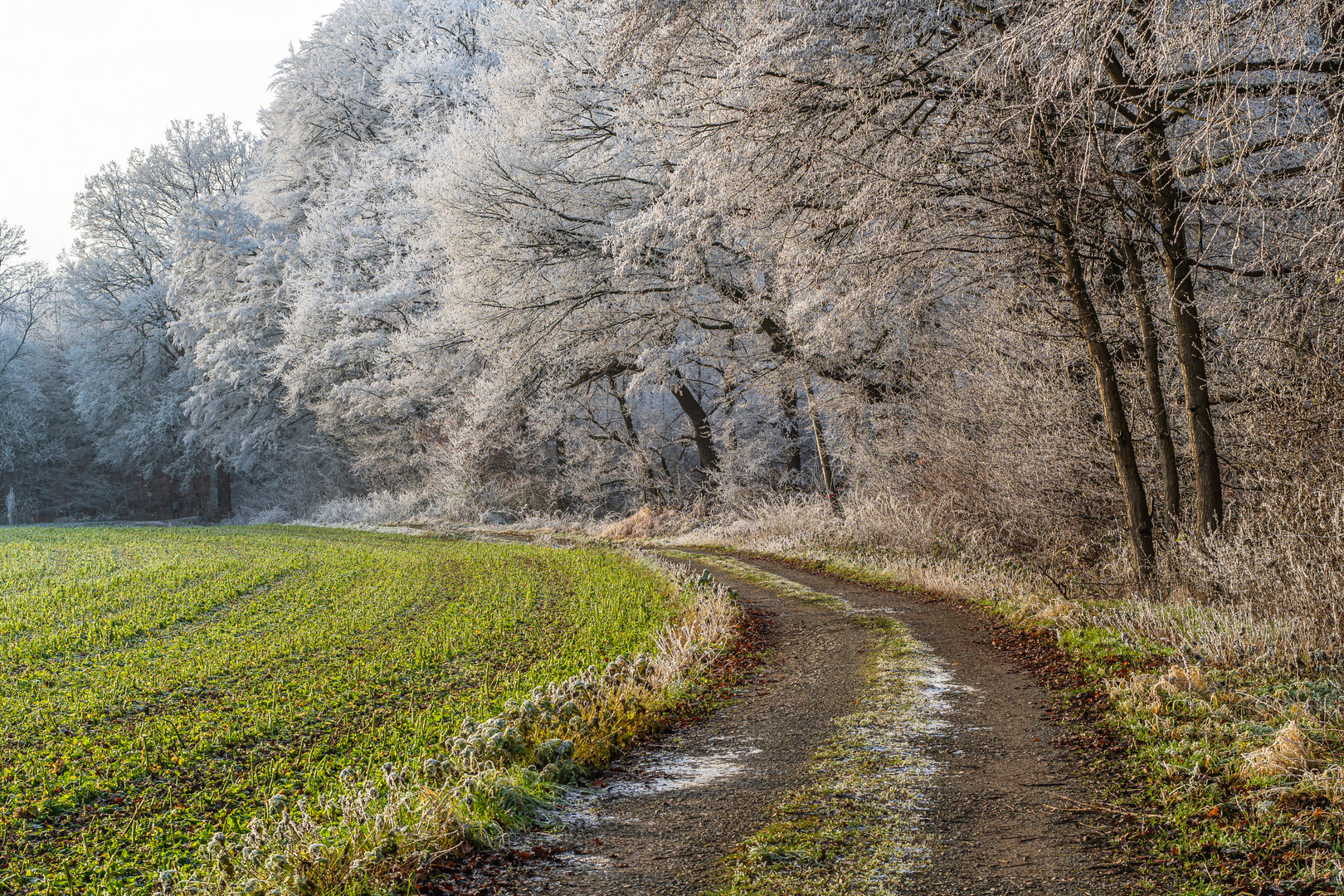 Winterwege