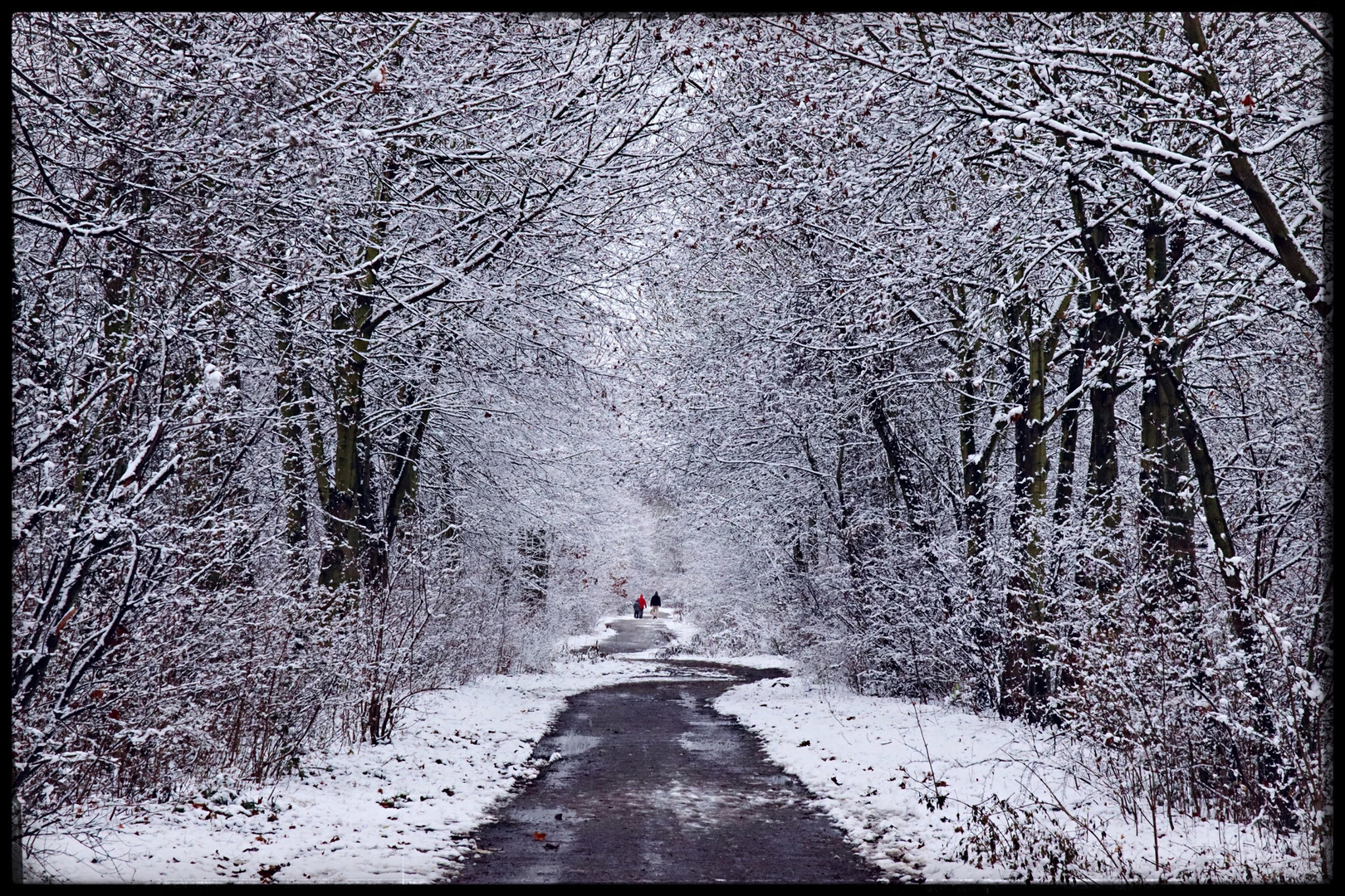 Winterwege in der Neuen Harth 