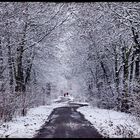 Winterwege in der Neuen Harth 