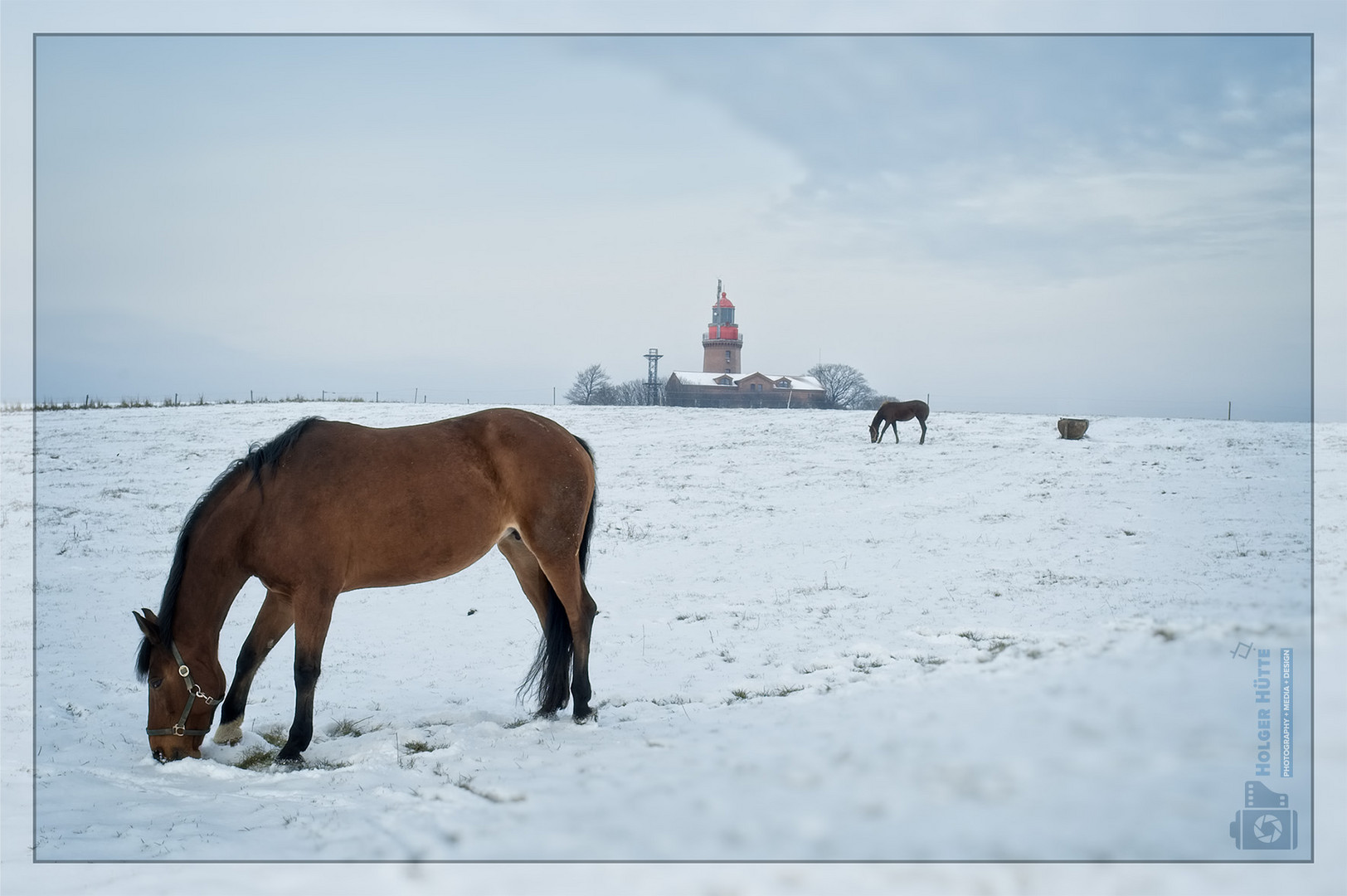 Winterweide am Bastorfer Leuchtturm