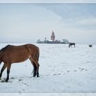 Winterweide am Bastorfer Leuchtturm