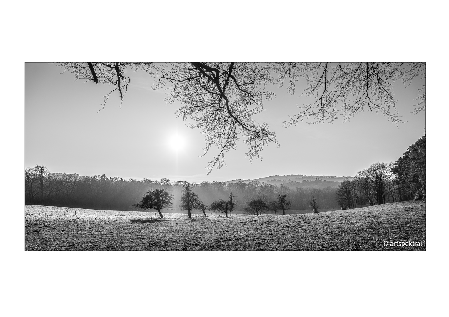 Winterweide mit Obstbäumen und Sonne sw