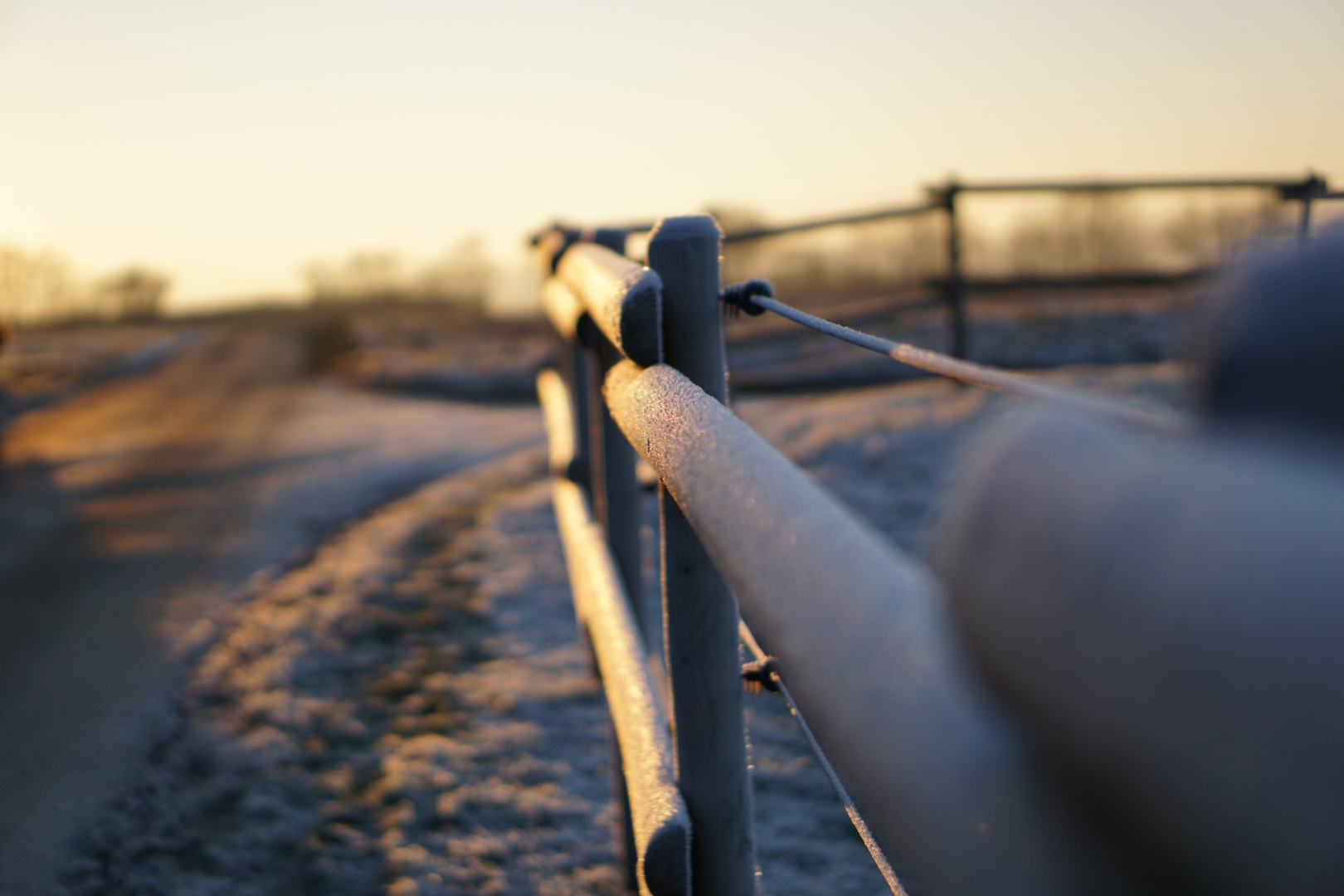 Winterweidezaun.