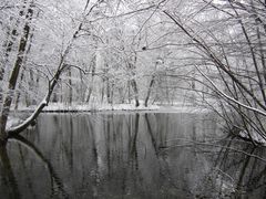 Winterweiher