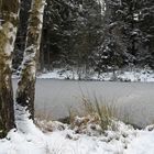 Winterweiher bei Winkelhaid