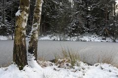 Winterweiher bei Winkelhaid