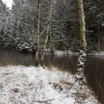 Winterweiher bei Winkelhaid02