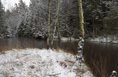 Winterweiher bei Winkelhaid02