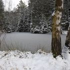 Winterweiher