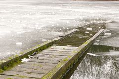 Winterweiher im Schloßpark Wittringen