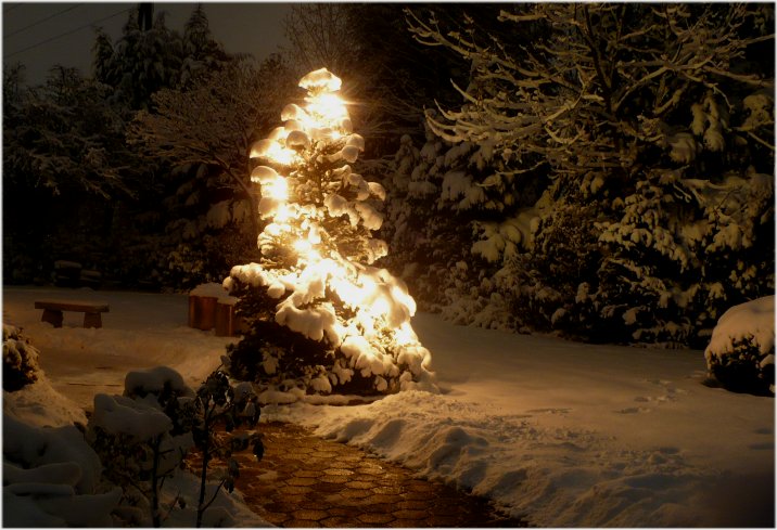 WinterWeihnachtsWonderLand von Lillebe 