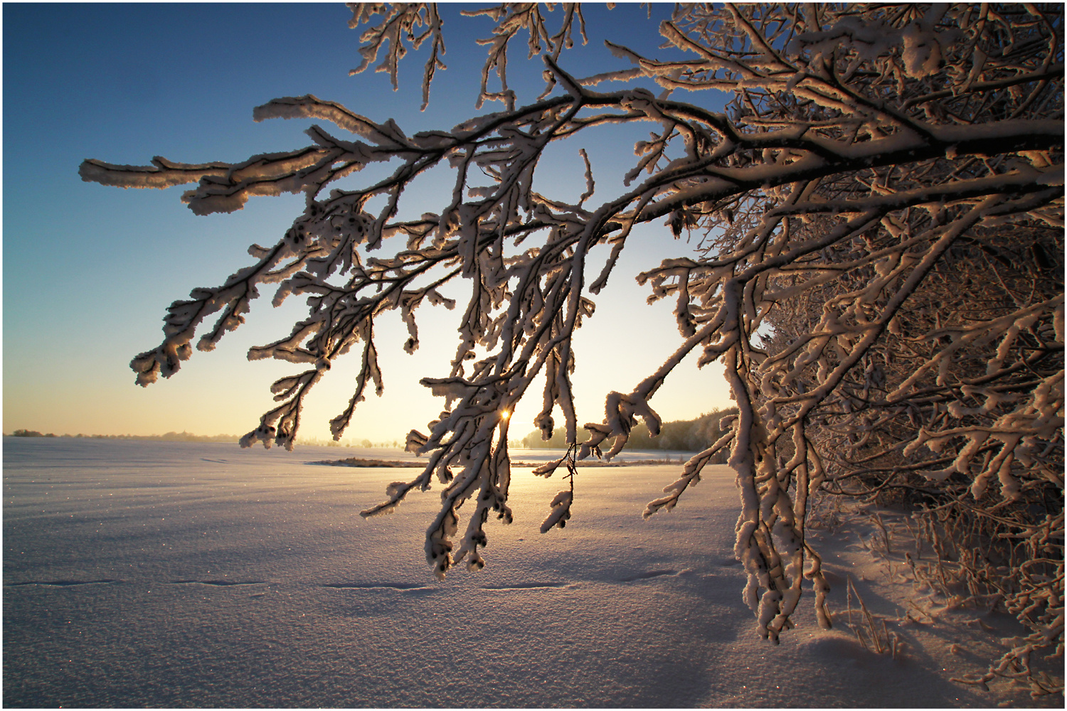 Winterweihnachtswunderwelt