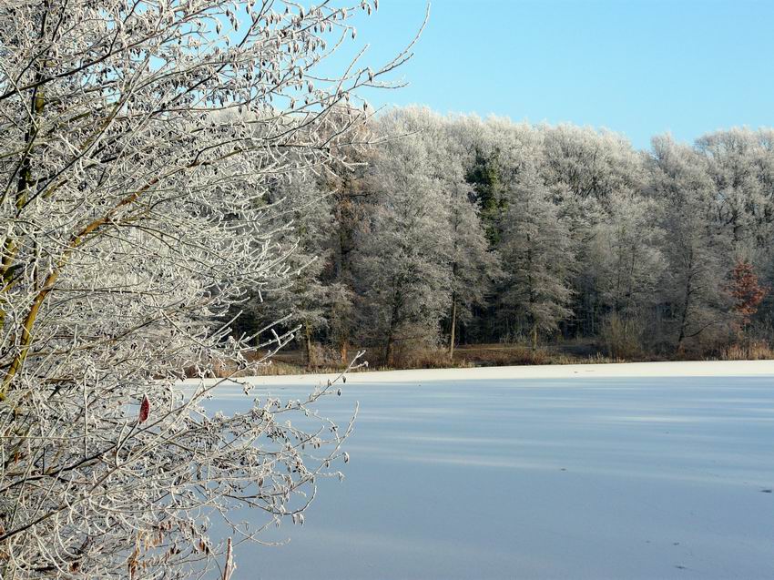 Winterweihnachtszeit