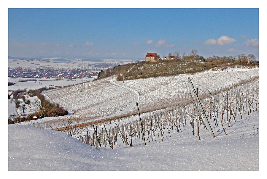 Winterwein