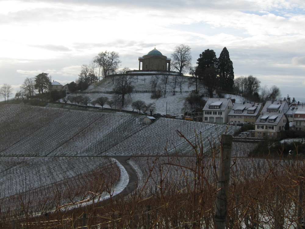 Winterweinberge 1