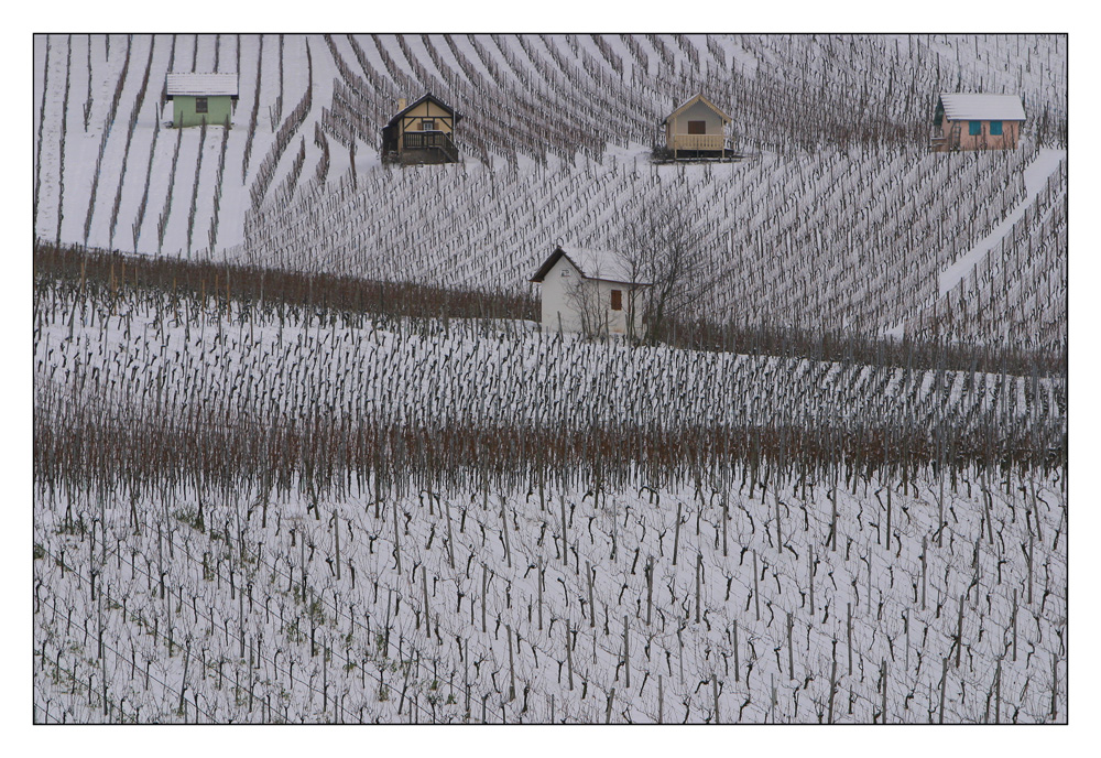 Winterweinberge