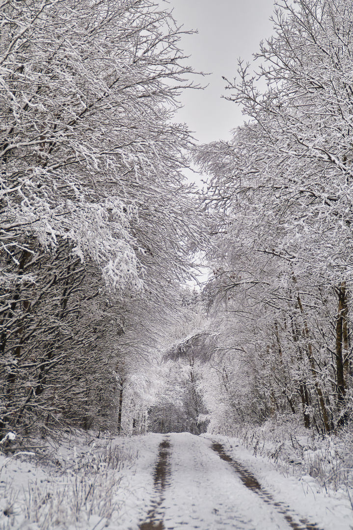 Winterweiß