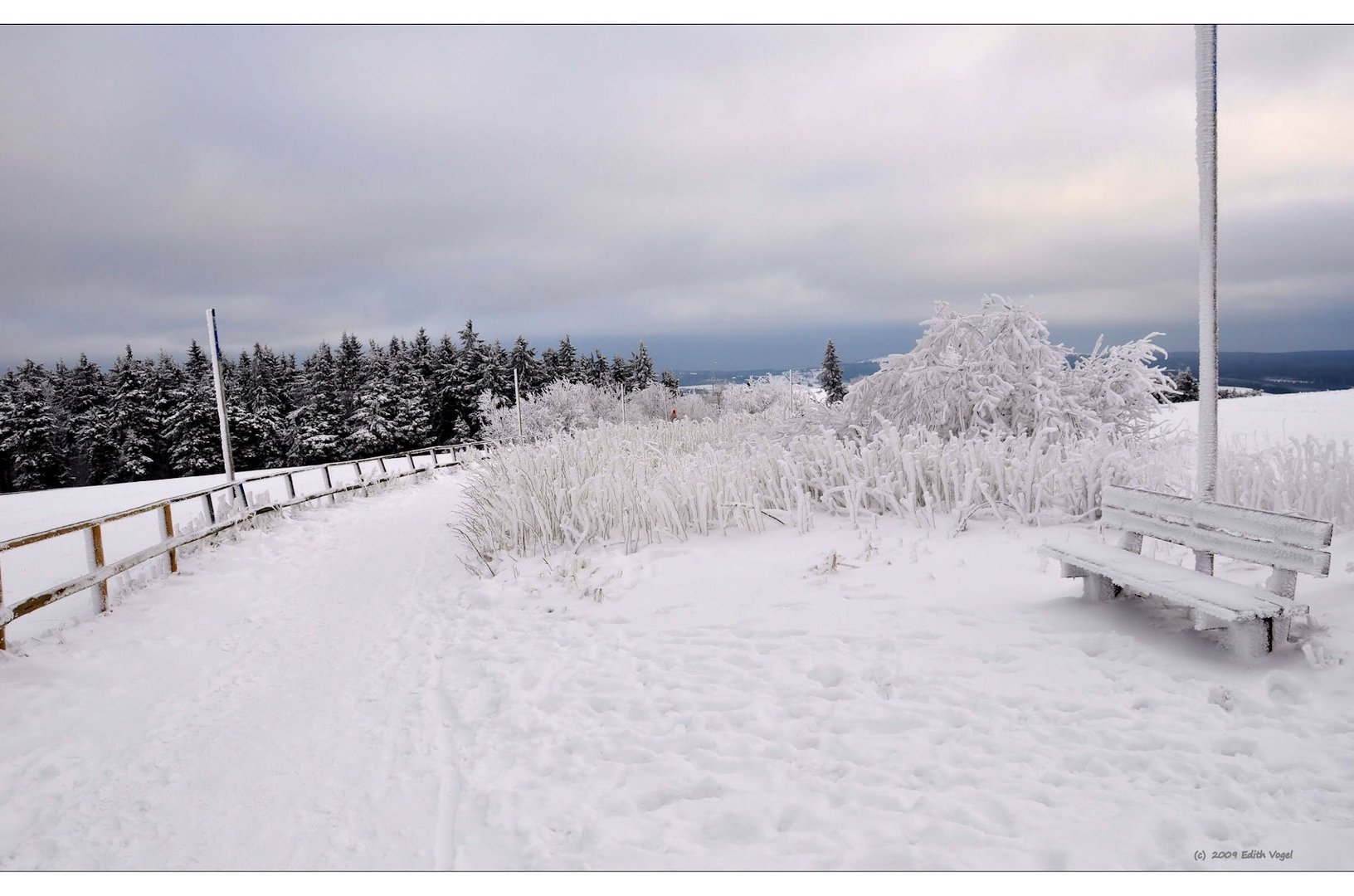 Winterweiß.....