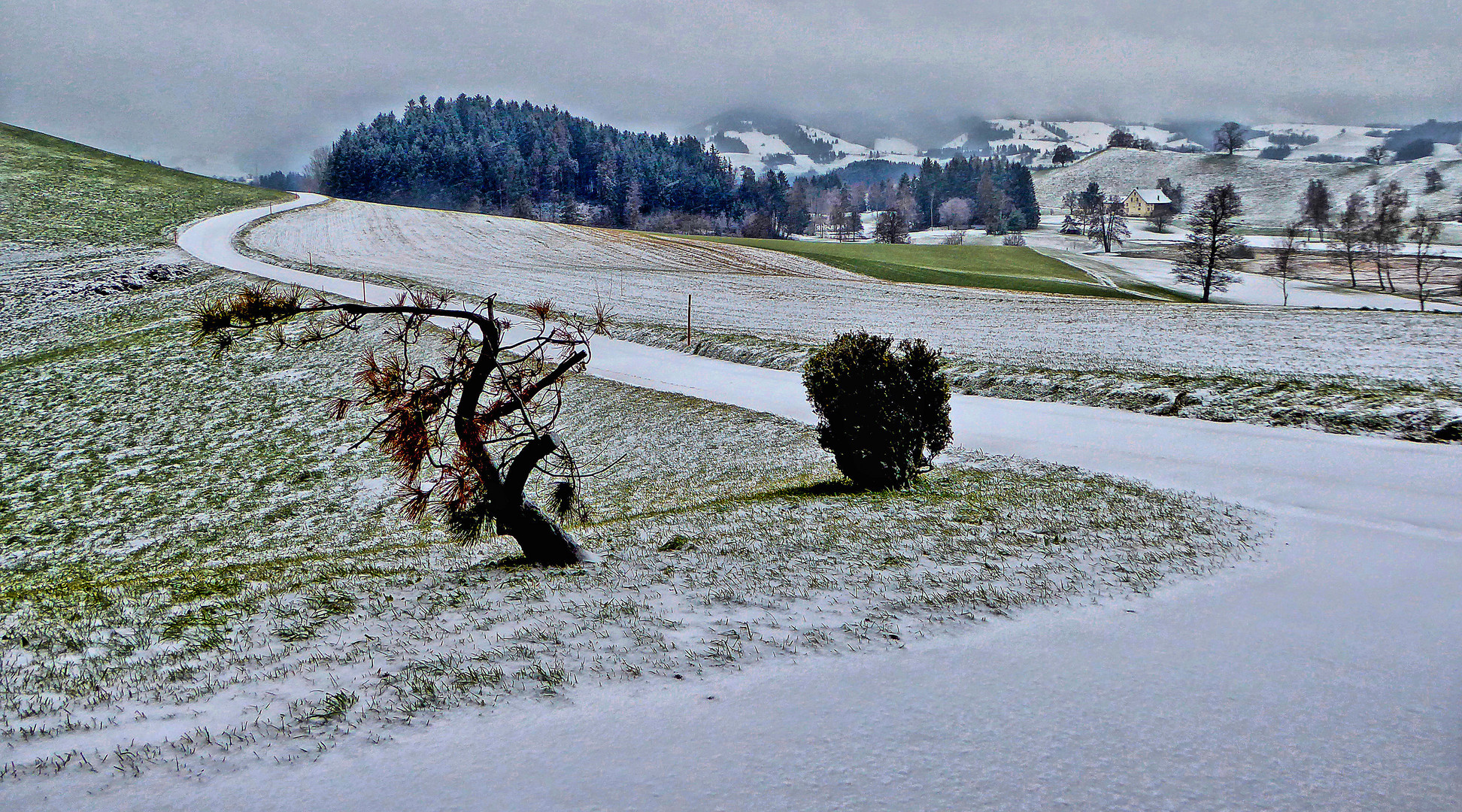 Winterweiss in Schönenberg ZH