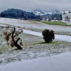 Winterweiss in Schönenberg ZH