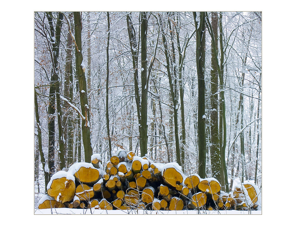 Winterweiß ohne Weißabgleich...