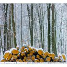 Winterweiß ohne Weißabgleich...