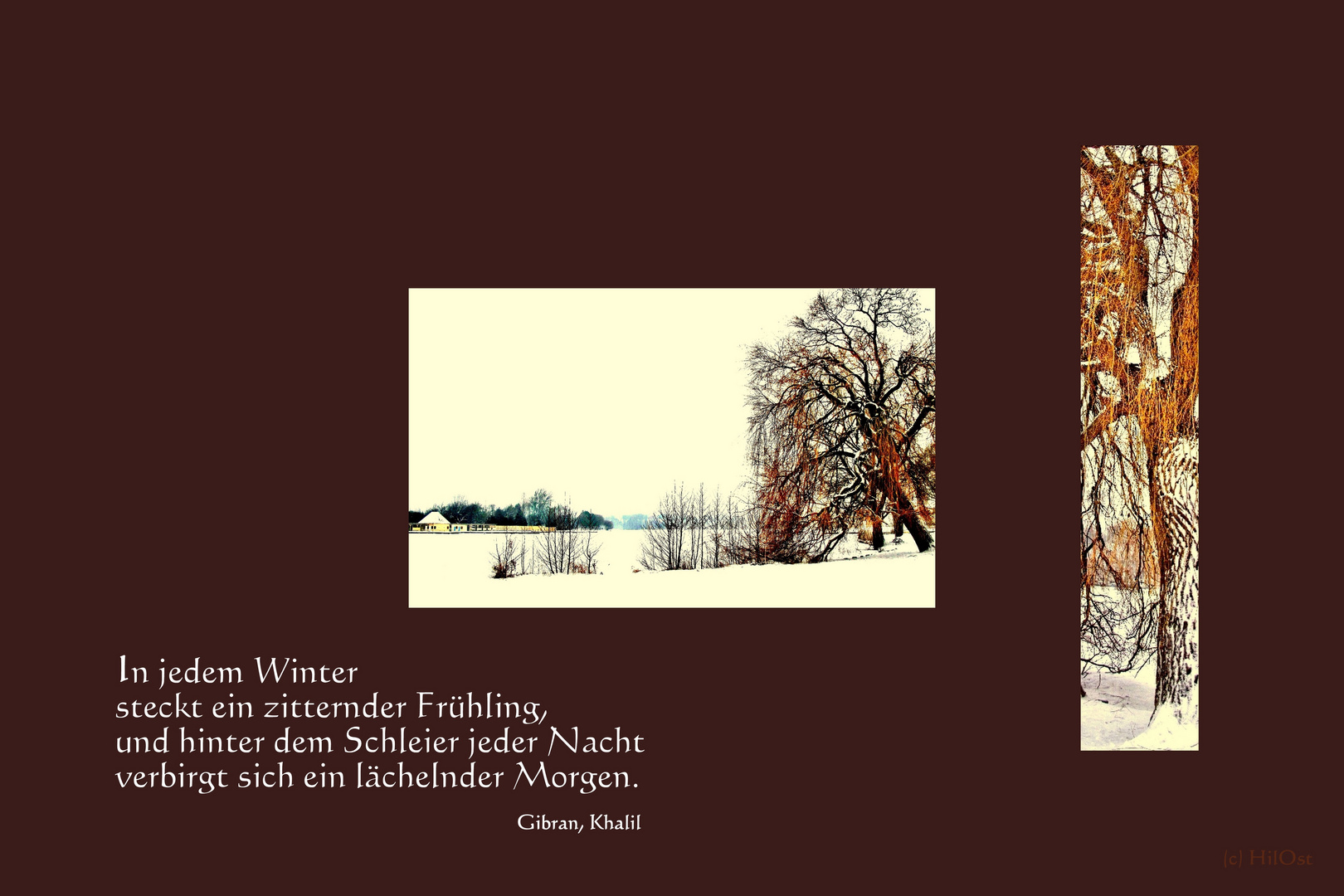 Winterweiss und Winterweise