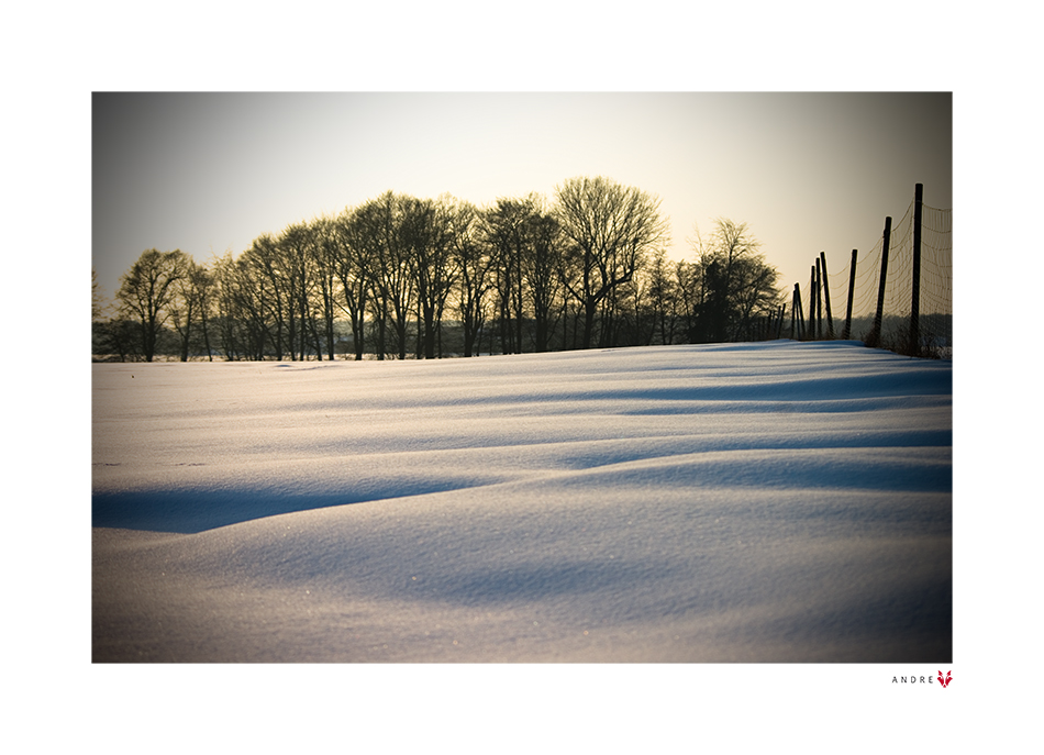 - Winterwellen*-